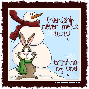 Friendship Never Melts picture