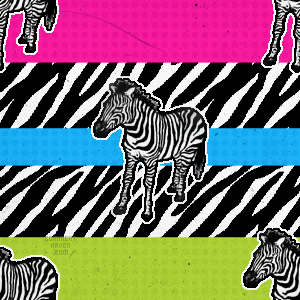Zebra Stripe Background