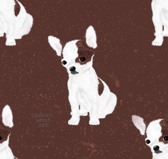 Brown Puppy Background
