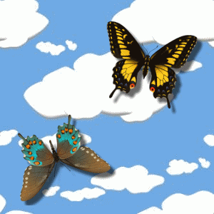Cloud Butterfly Background