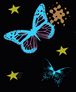 Animated Butterfly Background