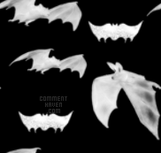 Bats Bw Background