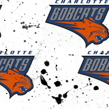Charlette Bobcats Background