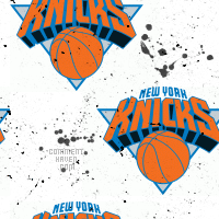 New York Knicks Background