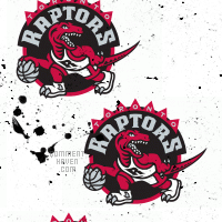 Raptors Background