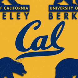 Cal Golden Bears Background