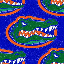 Florida Gators Background