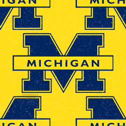 Michigan Wolverines Background