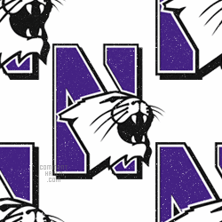 Northwestern Wildcats Background