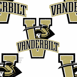 Vanderbilt University Background