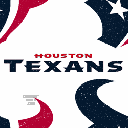 Houston Texans Background