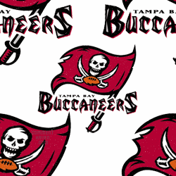 Tampa Bay Buccaneers Background