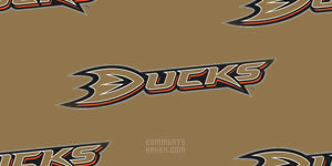 Anaheim Ducks Background