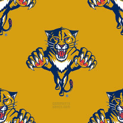 Florida Panthers Background