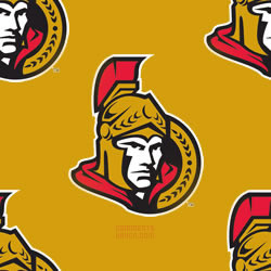 Ottawa Senators Background