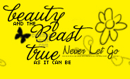 Beauty Beast Background
